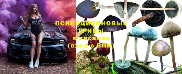 мяу мяу мука Алексеевка