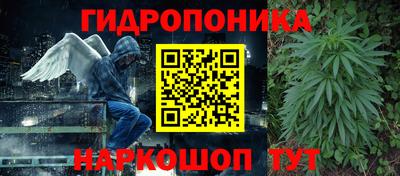 мескалин Заводоуковск