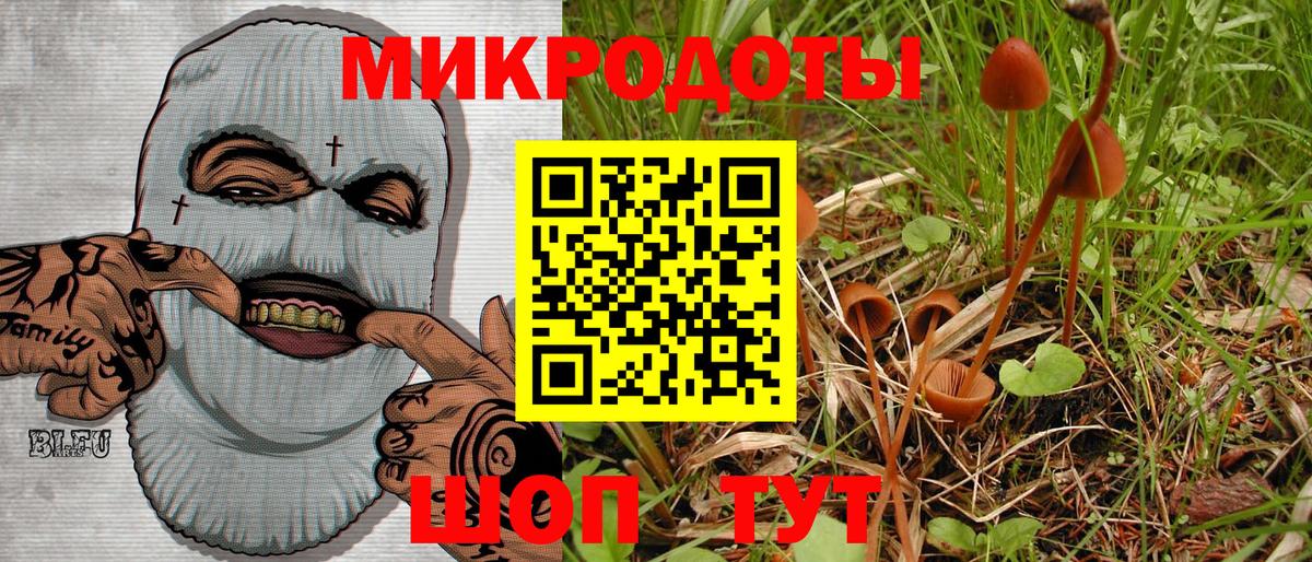 Псилоцибиновые грибы GOLDEN TEACHER  Вход с VPN  Челябинск  Галлюциногенные грибы Magic Shrooms 